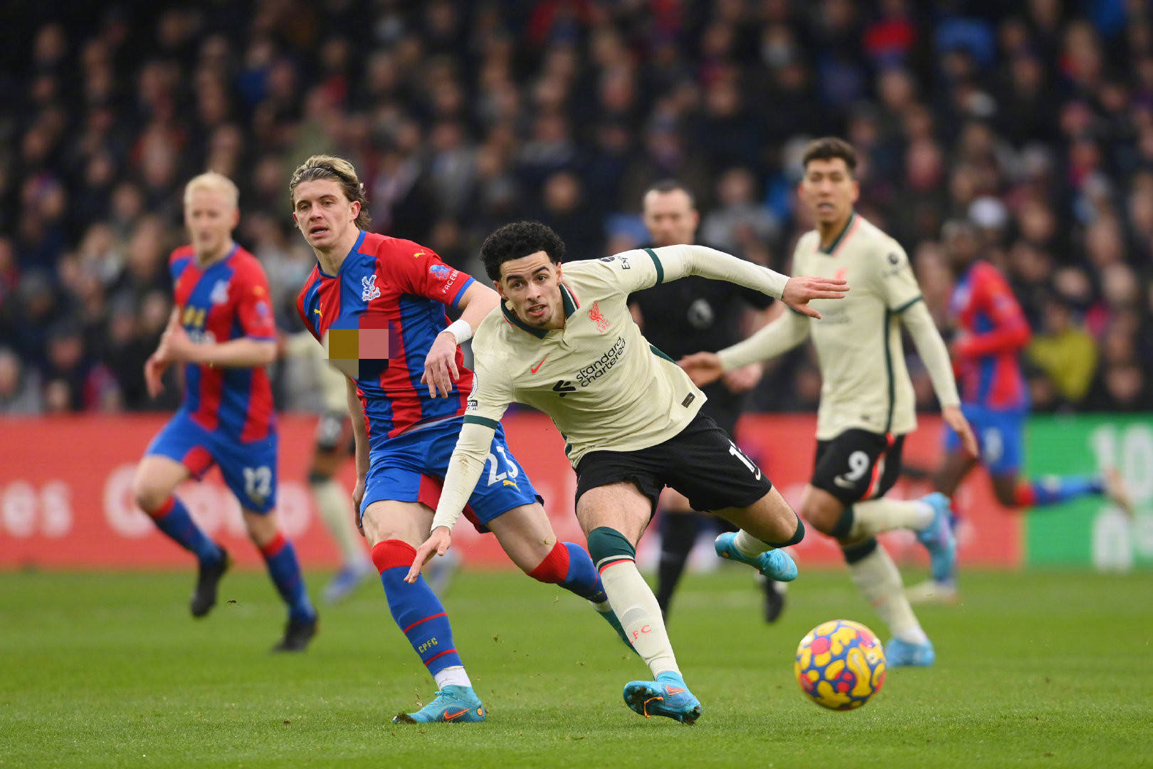 险球路的及 险球路的及